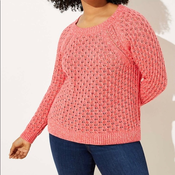 LOFT Sweaters - NWT LOFT PLUS BOBBLE POINTELLE SWEATER PIN…
